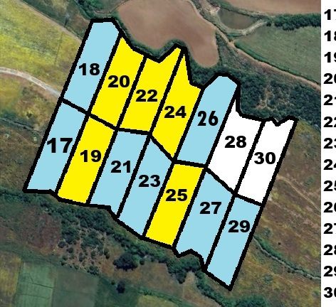 Plano de Loteo Mariposas